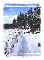 Alternative Winter holiday destination 